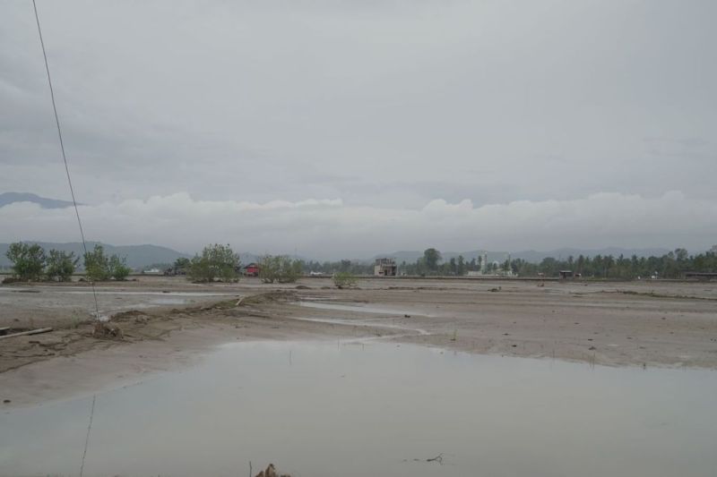 Satgas PRR Percepat Rehabilitasi Tambak dan Keramba di Sumatera