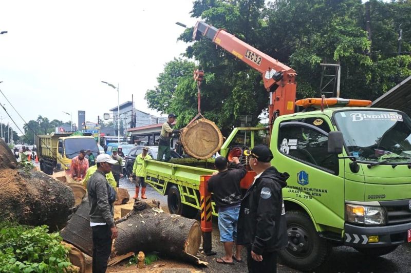 Pemkot Jaksel Berikan Santunan Rp50 Juta Untuk Korban Pohon Tumbang